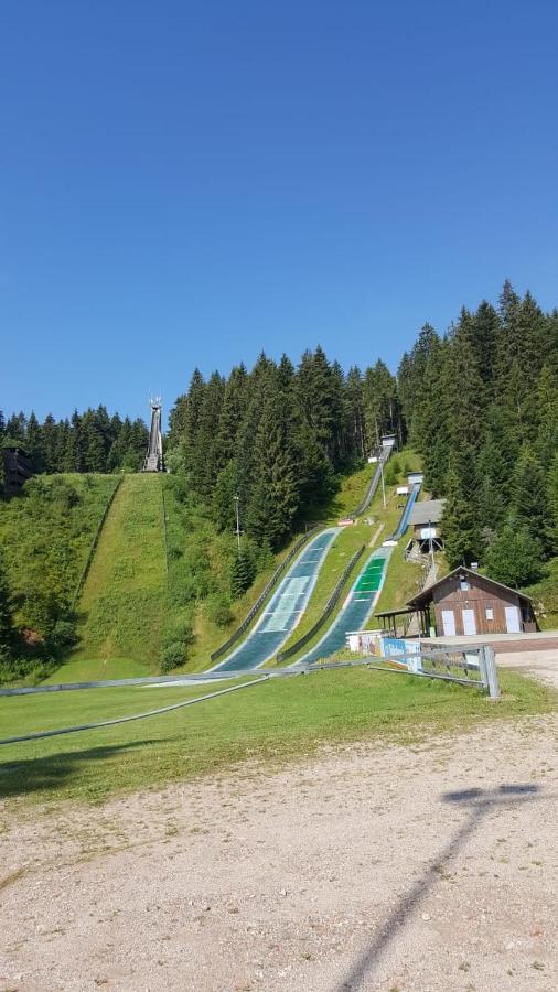 Schwarzwald Geht Immer Fewo 60 Qm Mit Grossem Suedbalkon, Wlan Und Magenta Tv Шёнвальд Экстерьер фото
