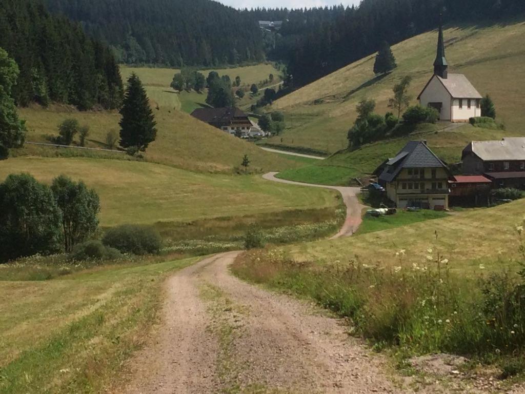 Schwarzwald Geht Immer Fewo 60 Qm Mit Grossem Suedbalkon, Wlan Und Magenta Tv Шёнвальд Экстерьер фото